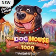Аппарат The Dog House 1000 от Pragmatic Play